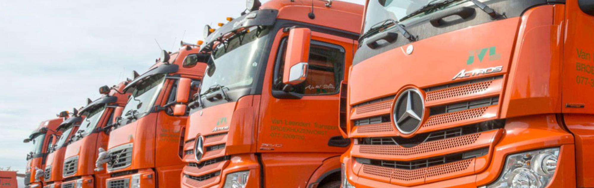 De kracht van lokaal